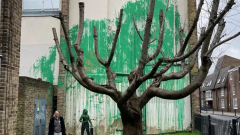The artwork thought to be a Banksy. A cut back tree stands in front of a mass of green paint on the wall behind