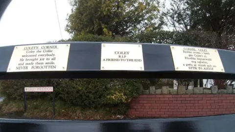 Lesley Owen The three plaques