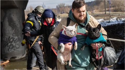 How animals in Ukraine are being rescued during war - BBC News