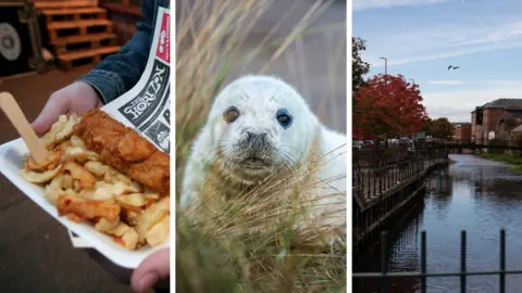 Getty Images Grimsby fish and chips, a seal, and Grimsby countryside