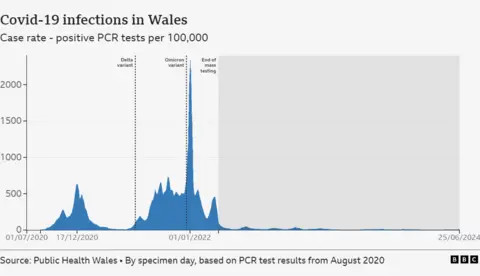 Covid case rates by day