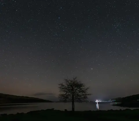 Steven Gray Starry sky above tree and bay on Isle of Rum