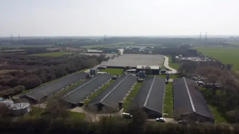 John Fairhall/BBC An aerial shot of the duck farm at Debach, near Woodbridge