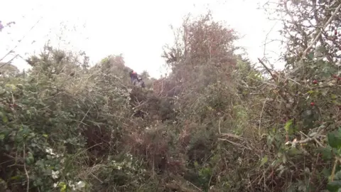 Ramblers Cymru Llanddaniel Fab clearance on blocked path