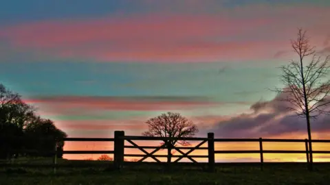 Weather Watchers/Peter Steggles Rushbury