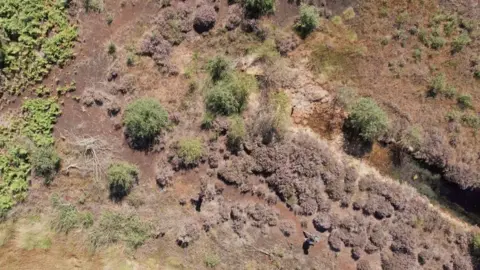 OS Aerial view of Thorne and Hatfield Moors