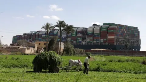 Reuters A farmer in his field with the Ever Given in the background. 27 March 2021