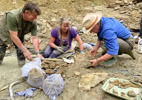 BBC Neville, Sally and Mark work to free fossils