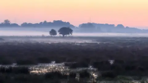 Justin Minns/National Trust Wicken Fen