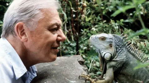 BBC Sir David Attenborough with iguana