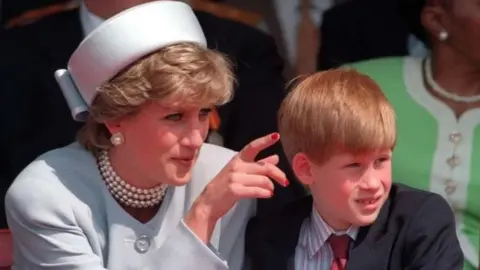PA Princess Diana and Harry