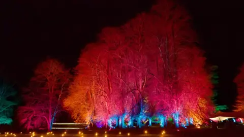 BBC Spectacle of Light at Compton Verney