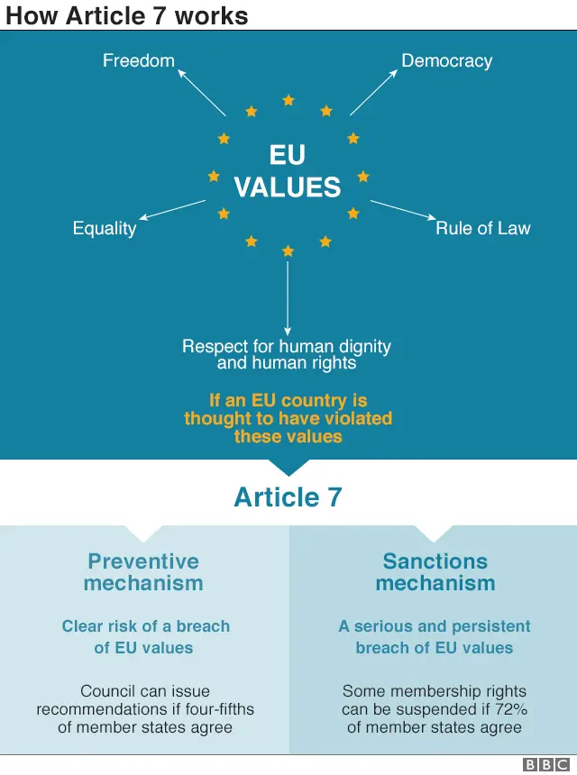 Graphic on Article 7