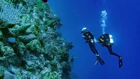 PA Media Divers at Little Cayman Marine Parks and Protected Areas, situated in the UK overseas territory of the Cayman Islands,