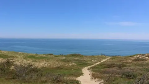 Getty Images Stock image of a Wellfleet beach showing sand dunes and ocean