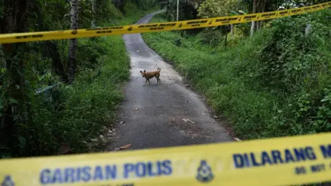 Getty Images Jungle crime scene