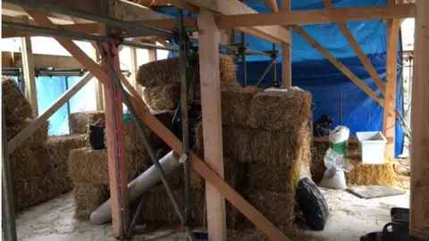 Aberystwyt University Elephant grass house