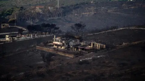AFP/GETTY Burnt house in Neos Voutzas, Greece