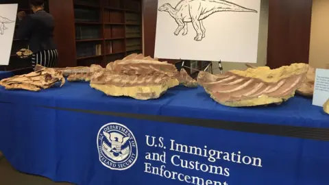 Bolortsetseg Minjin Table with dinosaur fossils seized by US Immigration and Customs Enforcement