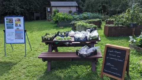 Bristol Food Network FOOD Clubs, Stockwood plot