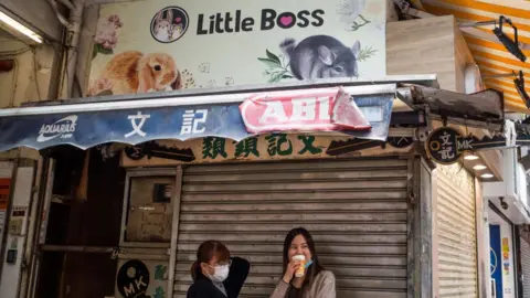 Hong Kong leader Carrie Lam defends Covid hamster cull