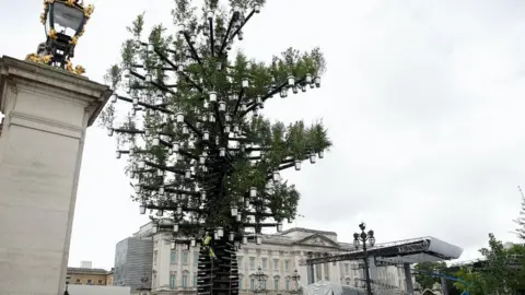 Peter Nicholls- WPA Pool/ Getty Images The Trees of Trees sculpture standing outside Buckingham Palace with metal pots hanging from the tree