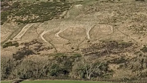 Neil Lanning The Osmington White Horse has now blended into its green surroundings.