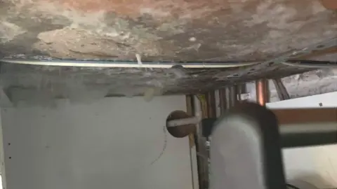 Layla Link Mould growing under a sink