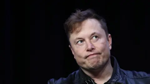 Getty Images Elon Musk