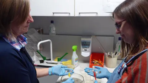 The British Museum Conservators Hayley Bullock (left) and Rachel Weatherall