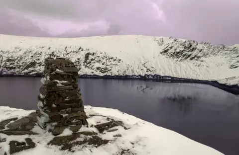 Dr Medwyn Williams Dr Medwyn Williams