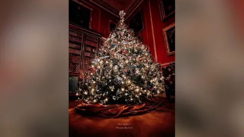 Instagram.com/nick_spence_photography Christmas tree