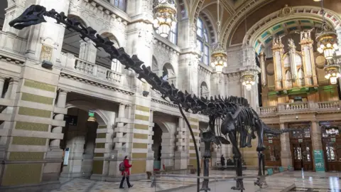 PA Media Dippy at the Natural History Museum