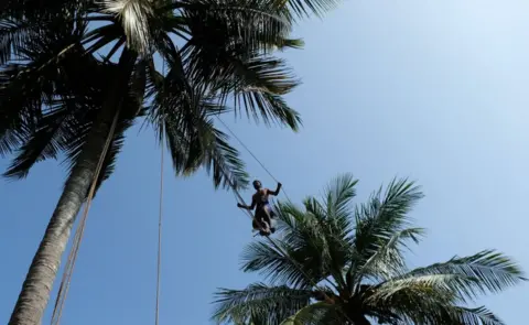Amila Gamage A toddy tapper in Sri Lanka