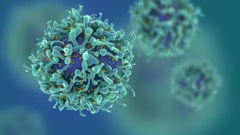 Getty Images A T-cell