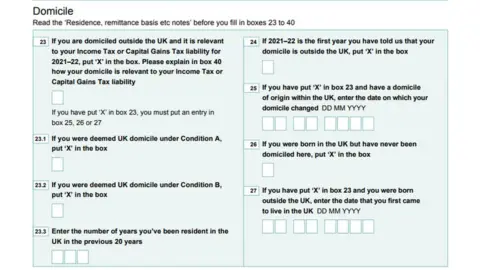 Gov.co.uk Non-dom form