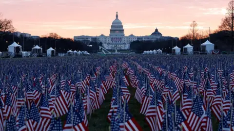 Reuters Flags outside the Capitol to pay tribute to Covid victims (18 Jan)