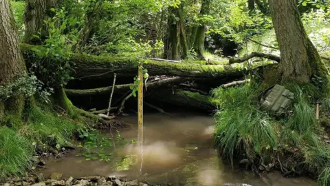 Daniel Jones/Cardiff University Leaky dam
