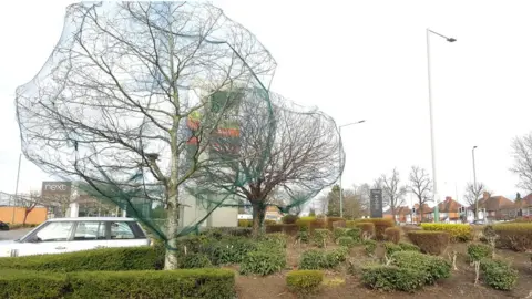 Tree netting at a retail park in Solihull