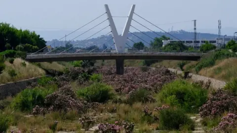 Reuters Image shows bridge