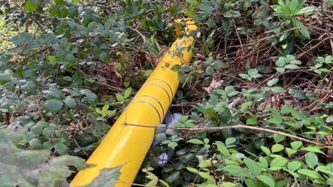 Yellow speed camera pole