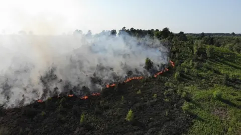 Surrey Fire and Rescue Frensham Common wildfire