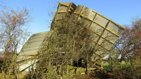 Penny Jones Animal Sanctuary Roof in a hedge