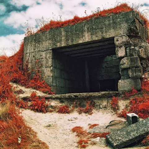 Lynda Laird Infrared photograph of a bunker, surrounded by plants and sand