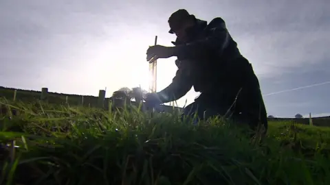 BBC Tree planting