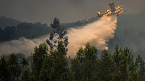 AFP A firefighting plane drops water over a wildfire at Relva in Macao, central Portugal on July 21, 2019