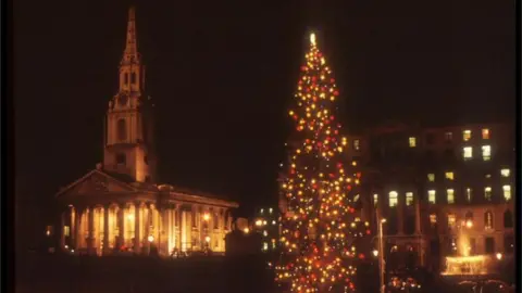 BBC Trafalgar tree