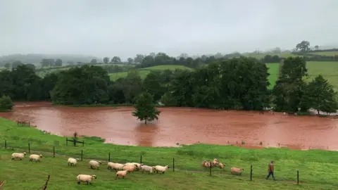 Flooded field