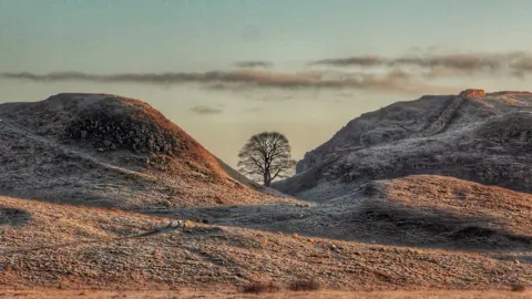 Getty Images Sycamore Gap