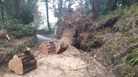 Isle of Man Department of Infrastructure Tree blocking road in Laxey